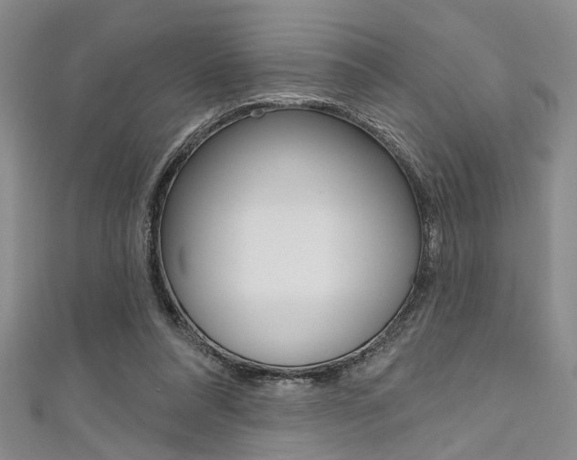 X0000111420304200907131025