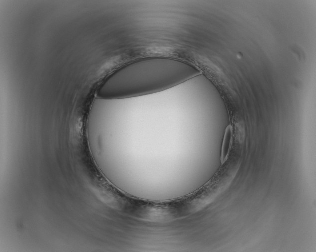 X0000111420308200907131025