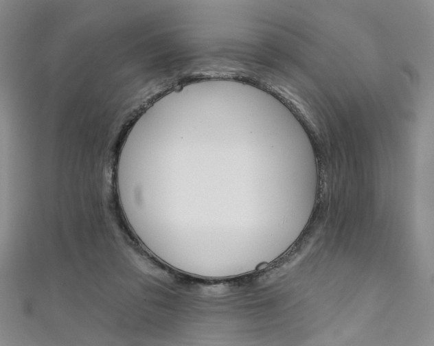 X0000111420309200907131025