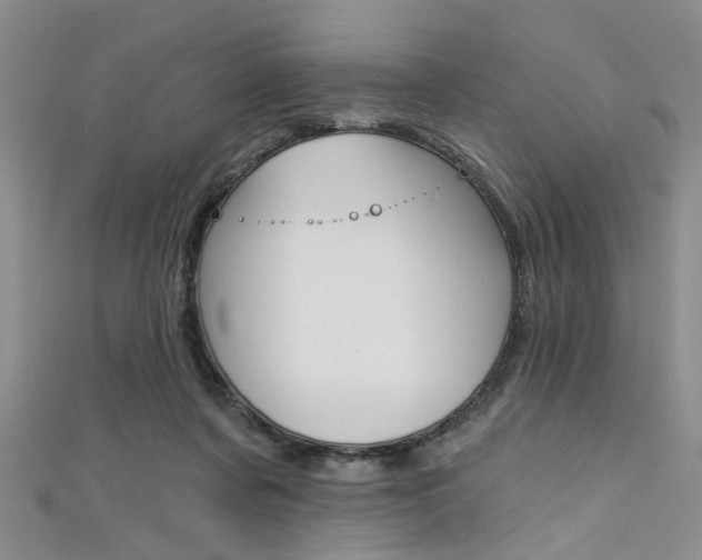 X0000111420311200907131025