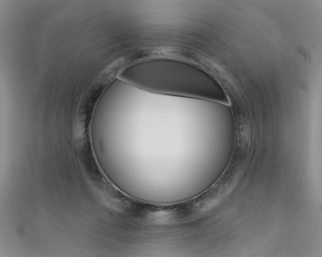 X0000111420312200907131025