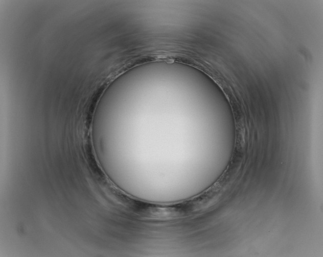 X0000111420316200907131025