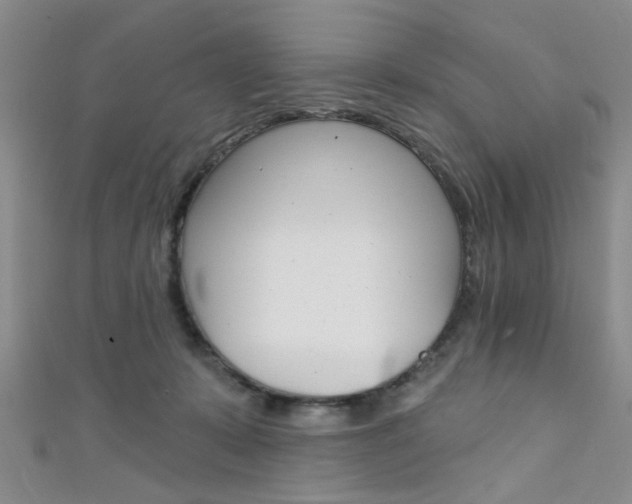 X0000111420319200907131025