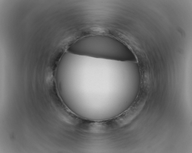 X0000111420320200907131025
