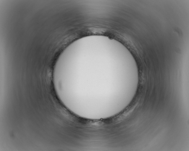 X0000111420321200907131025