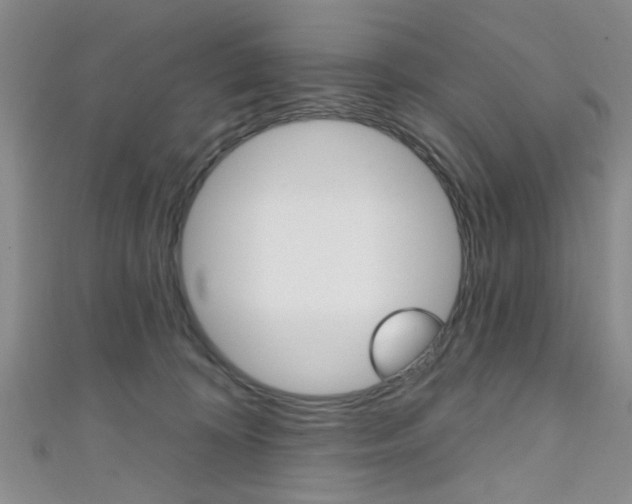 X0000111420324200907131025
