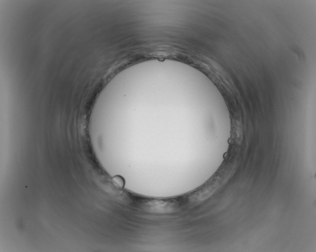 X0000111420326200907131025