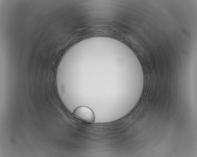 X0000111420327200907131025