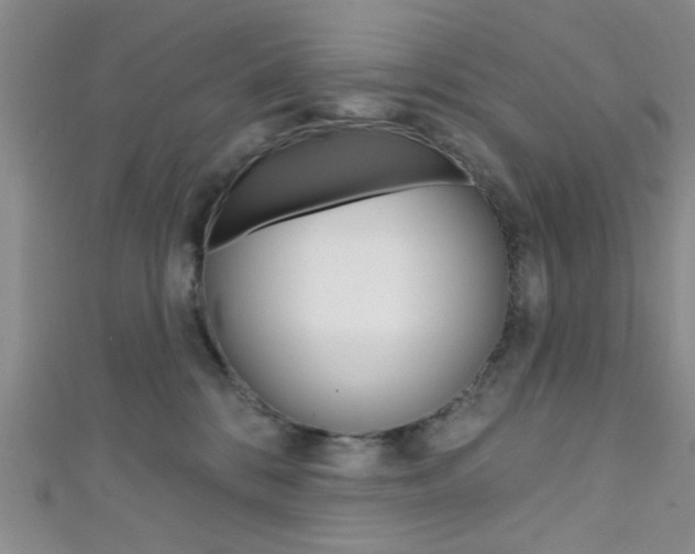 X0000111420328200907131025