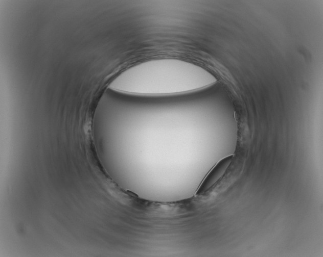 X0000111420329200907131025