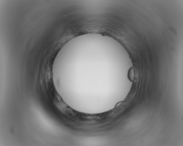 X0000111420334200907131025