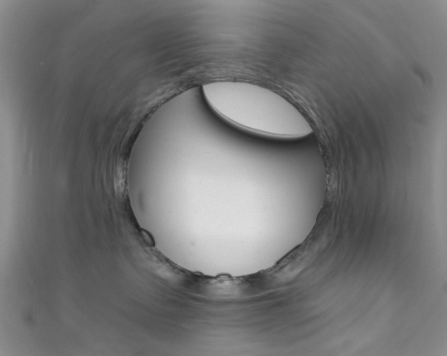 X0000111420335200907131025