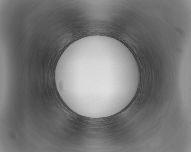 X0000111420336200907131025