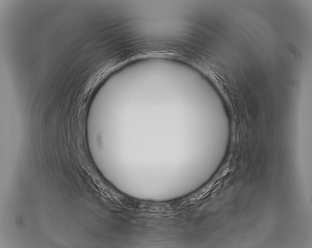 X0000111420337200907131024
