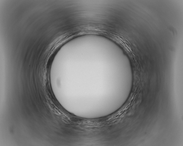 X0000111420338200907131024