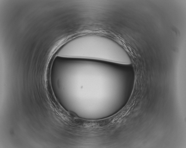 X0000111420340200907131024