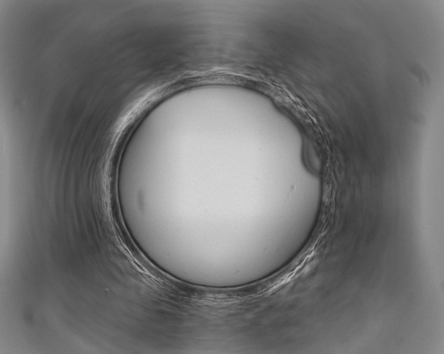 X0000111420341200907131024