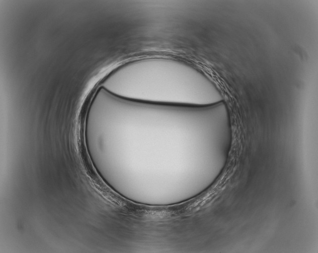 X0000111420342200907131024