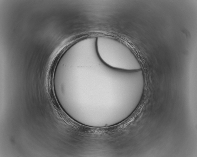 X0000111420343200907131024