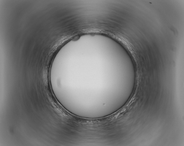 X0000111420345200907131024