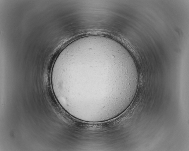 X0000111420347200907131024