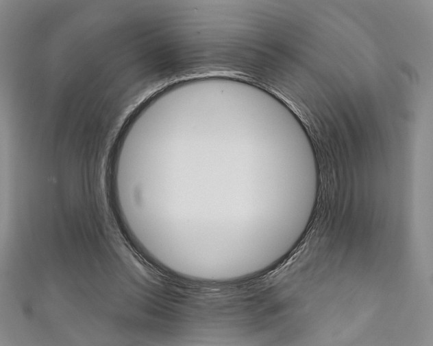 X0000111420350200907131024
