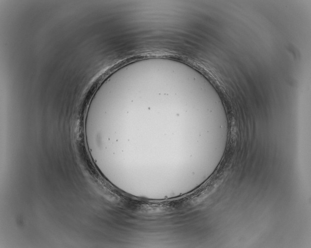 X0000111420351200907131024