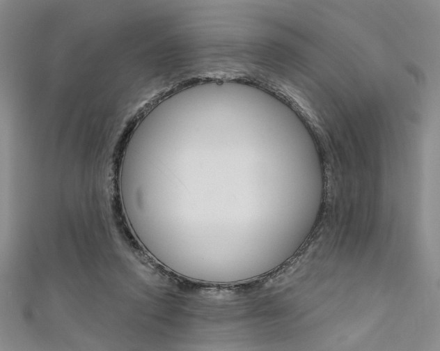 X0000111420354200907131024