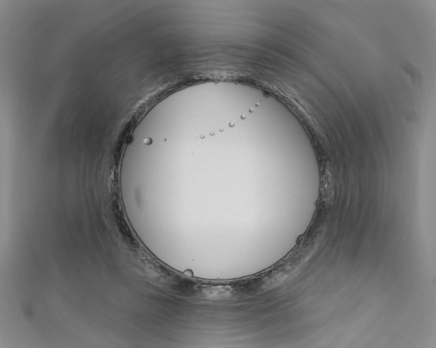 X0000111420355200907131024