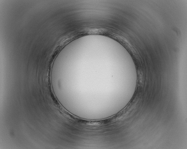 X0000111420357200907131025