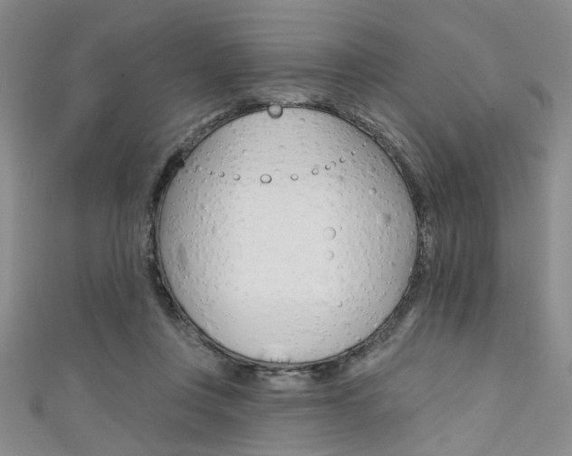 X0000111420359200907131025