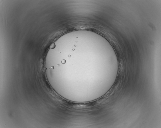 X0000111420361200907131025