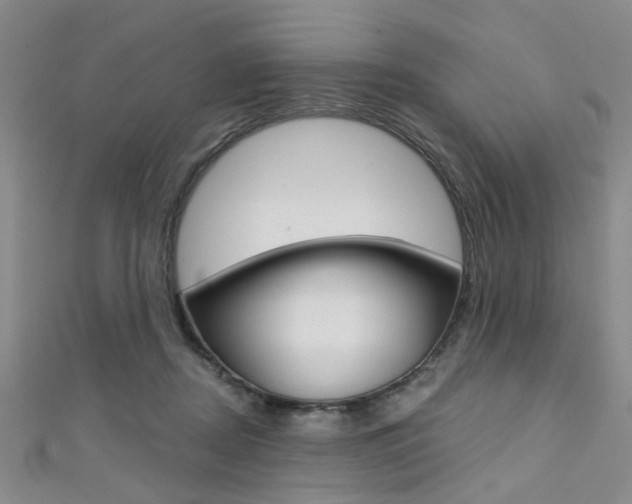 X0000111420362200907131025