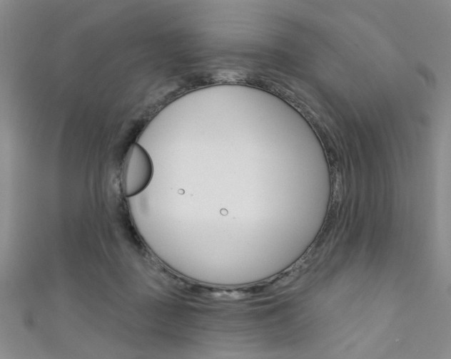 X0000111420363200907131025