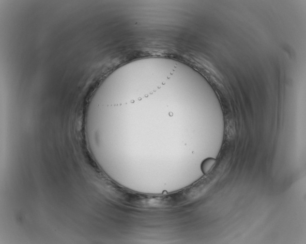 X0000111420365200907131025