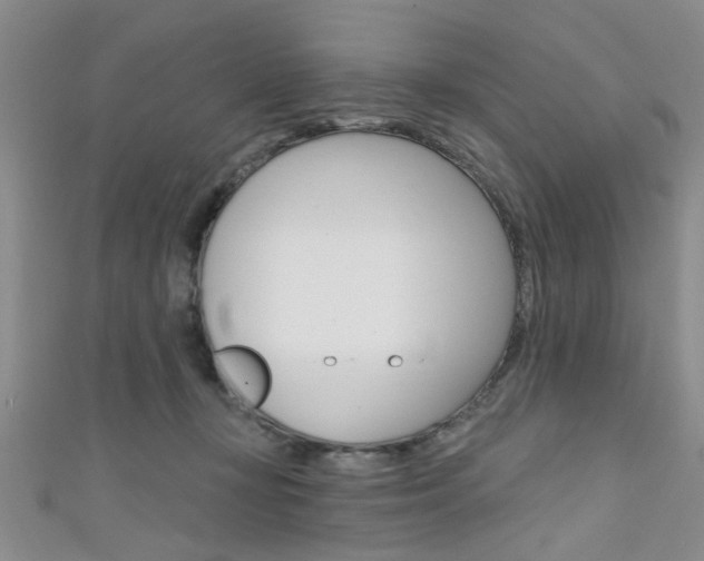 X0000111420367200907131025