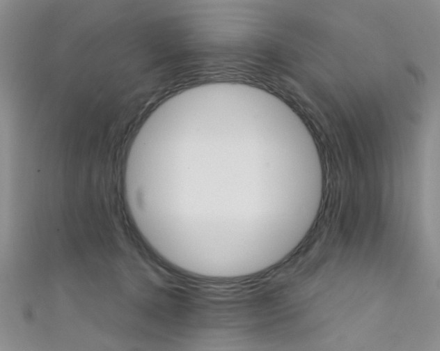 X0000111420368200907131025