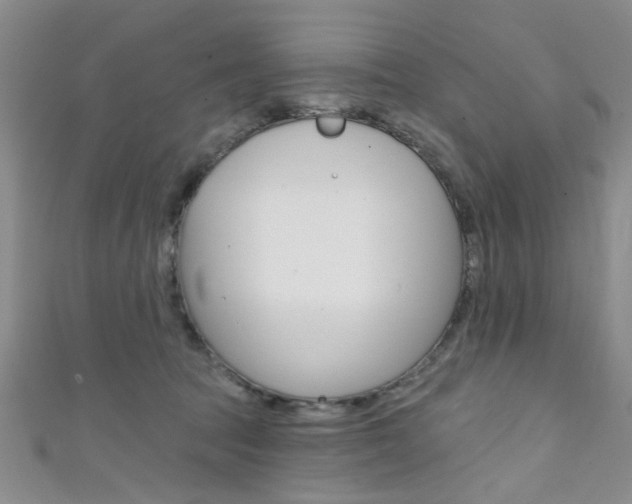 X0000111420369200907131025