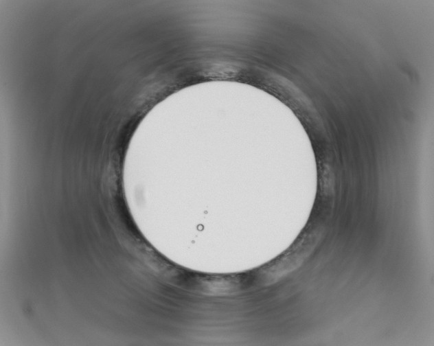 X0000111420370200907131025