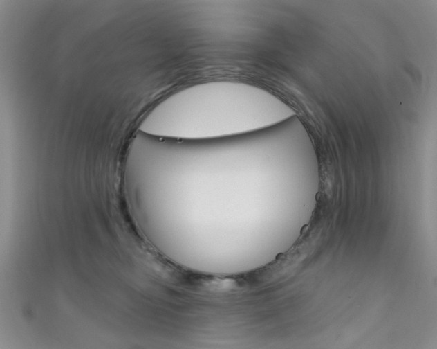 X0000111420374200907131025