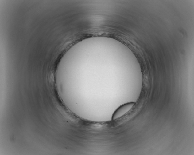 X0000111420375200907131025