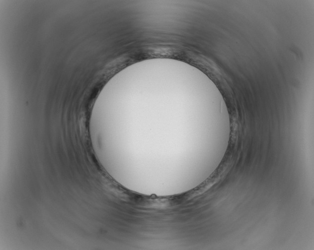 X0000111420377200907131025