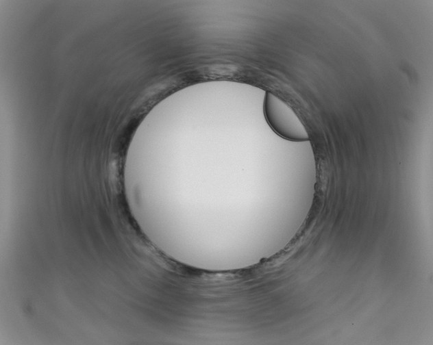 X0000111420378200907131025