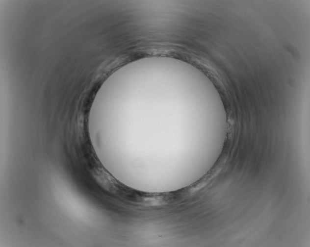 X0000111420381200907131025