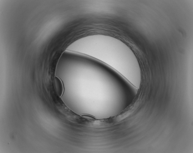 X0000111420382200907131025