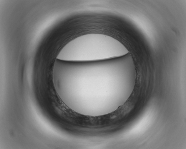 X0000111420383200907131025