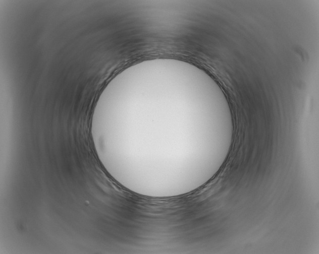 X0000111420384200907131025