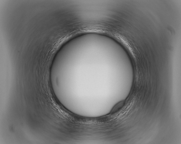 X0000111420385200907131024