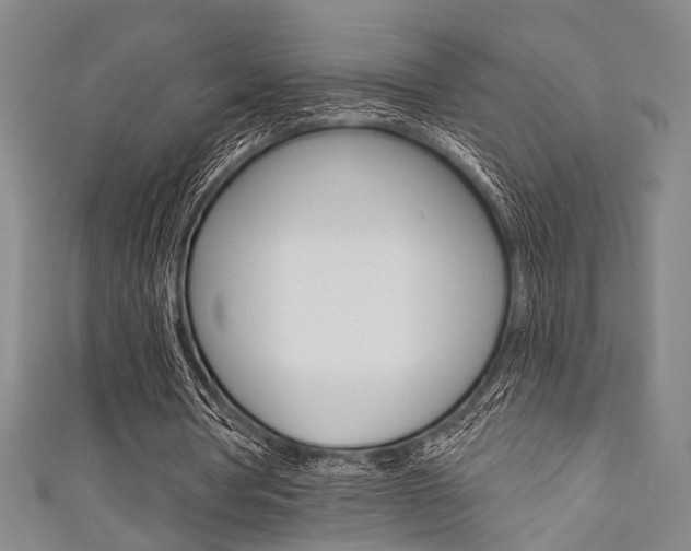 X0000111420386200907131024