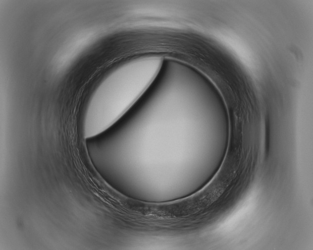 X0000111420387200907131024